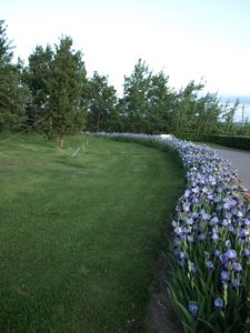 Top Of The Hill Golf Course