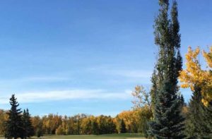 Sylvan Lake Golf & Country Club