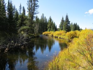 Upper Shunda Creek Campground