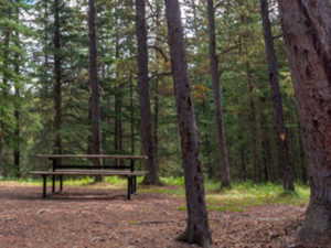 Dry Haven Provincial Recreation Area