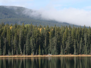 Goldeye Lake Provincial Recreation Area