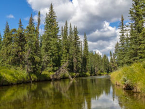 Harlech Provincial Recreation Area