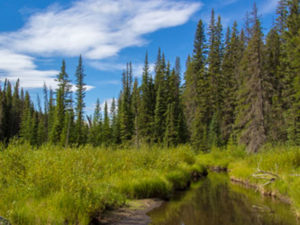 Snow Creek Group Camp Provincial Recreation Area