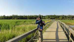 Aspen Beach Campground and Provincial Park