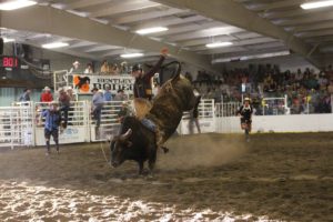 Town of Bentley | Visit Central Alberta