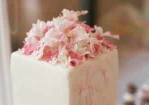 Sugar By Tracy