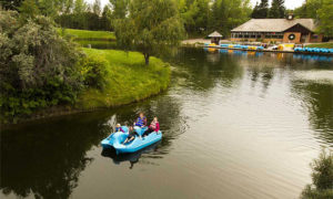 Bower Ponds Recreation