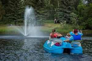 Bower Ponds Recreation