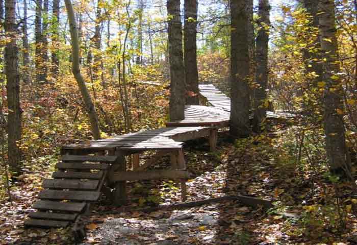 red deer bike trails